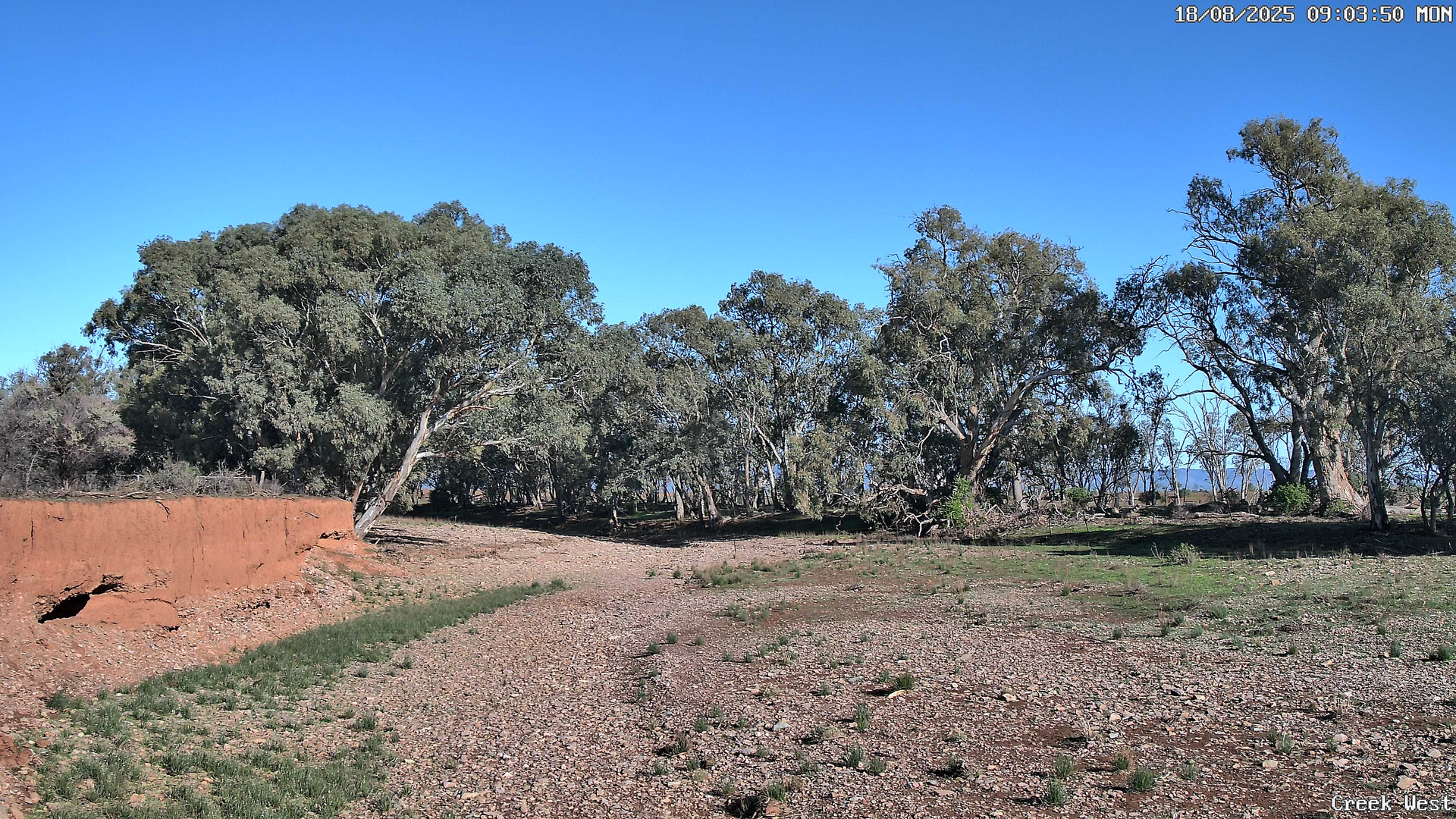 time-lapse frame, CreekCam West webcam