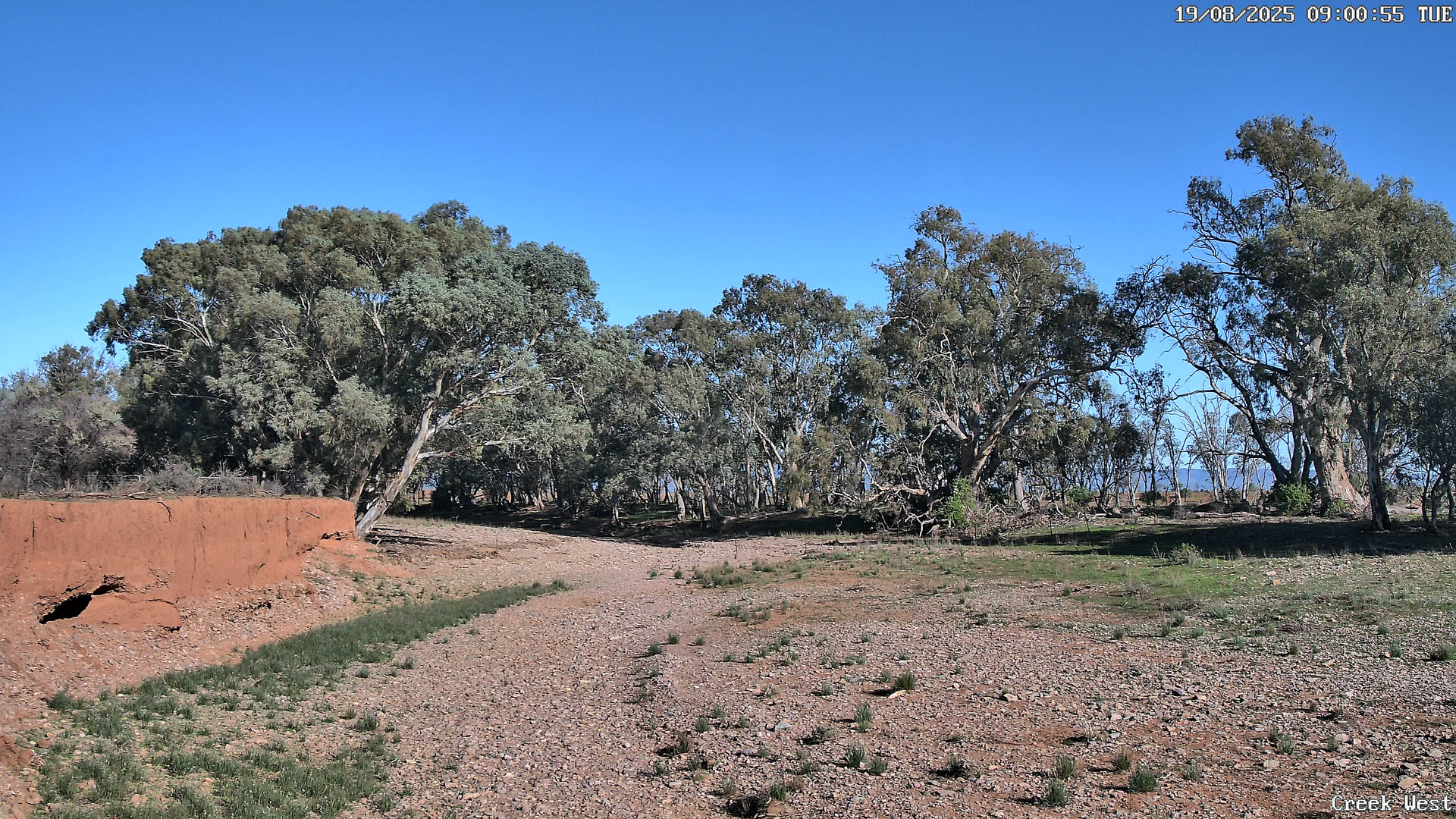 time-lapse frame, CreekCam West webcam