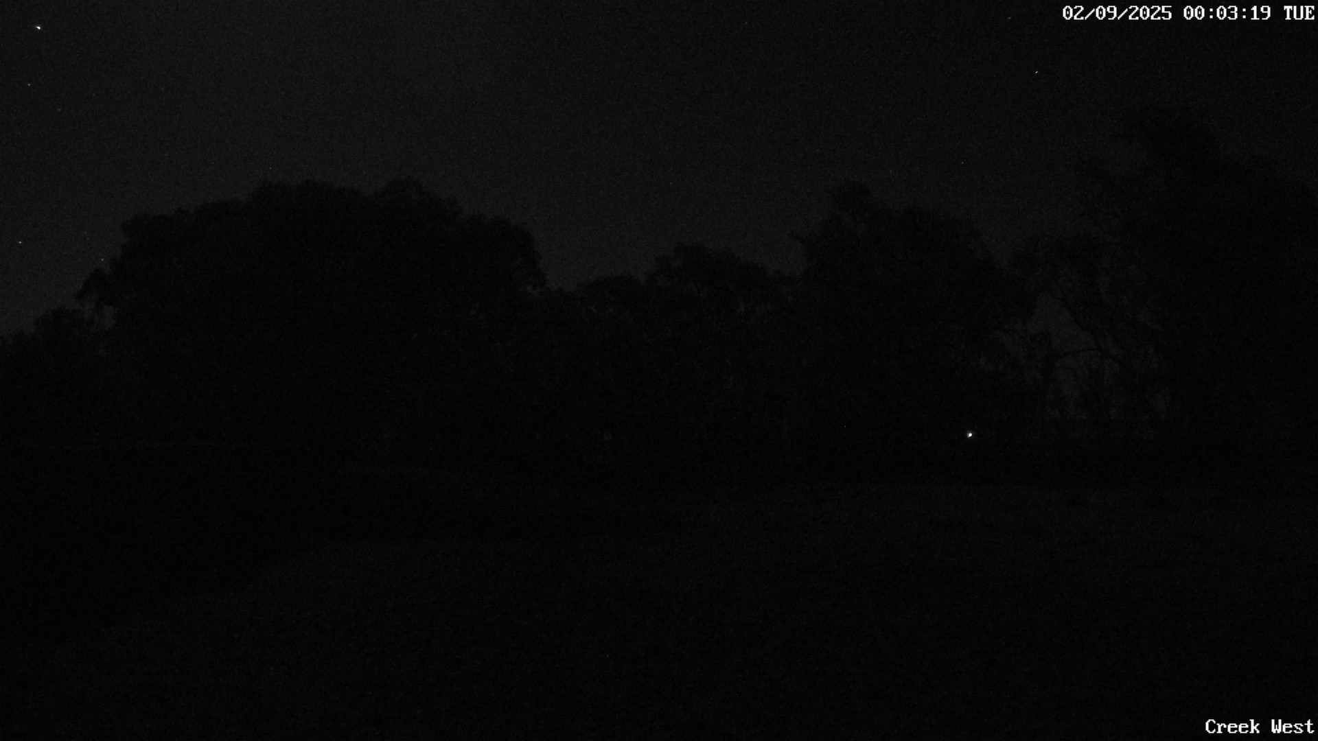 time-lapse frame, CreekCam West webcam