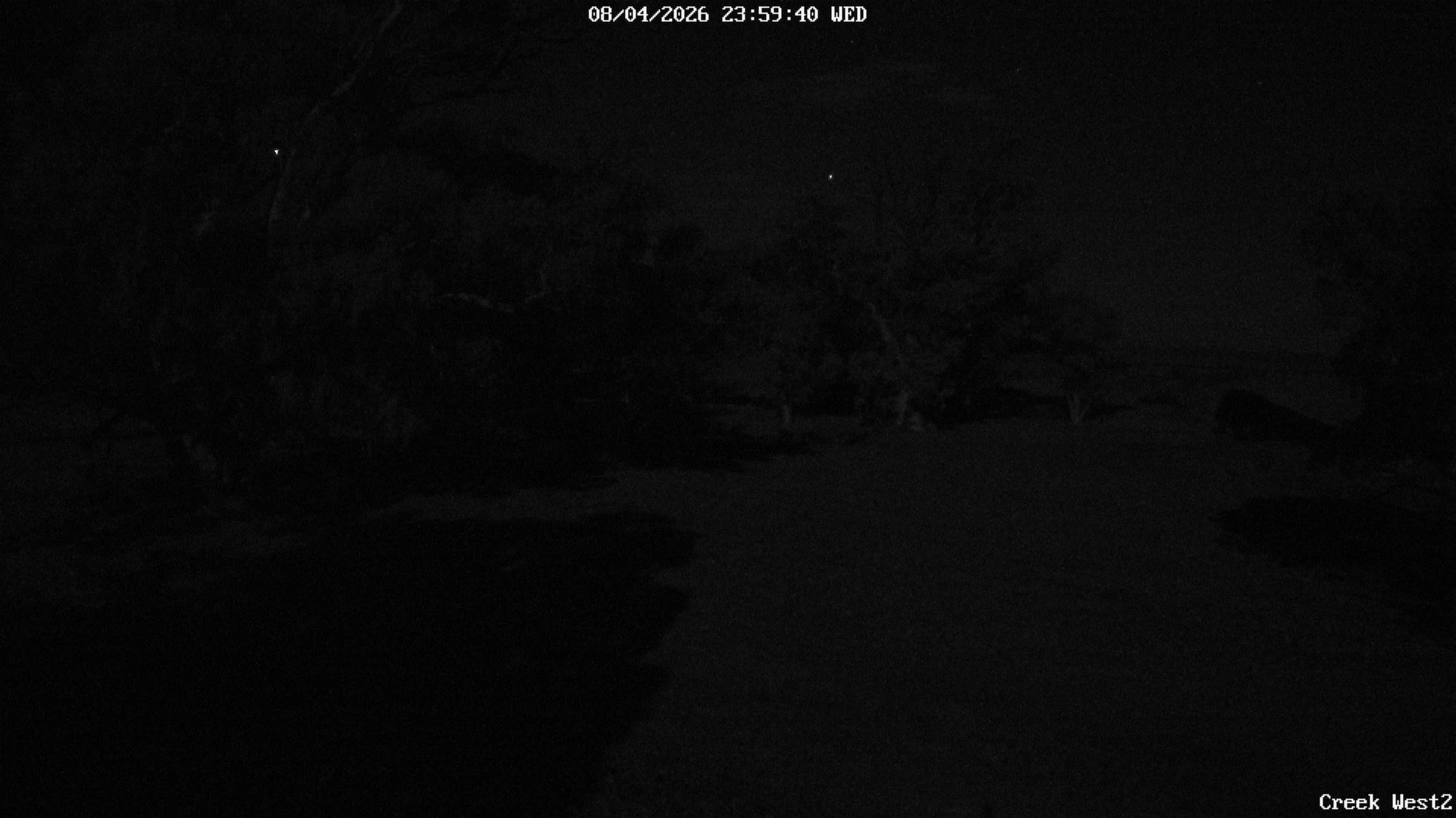 time-lapse frame, CreekCam West webcam