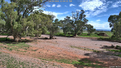 view from CreekCam West on 2026-04-14