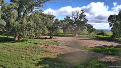 view from CreekCam West on 2026-06-04