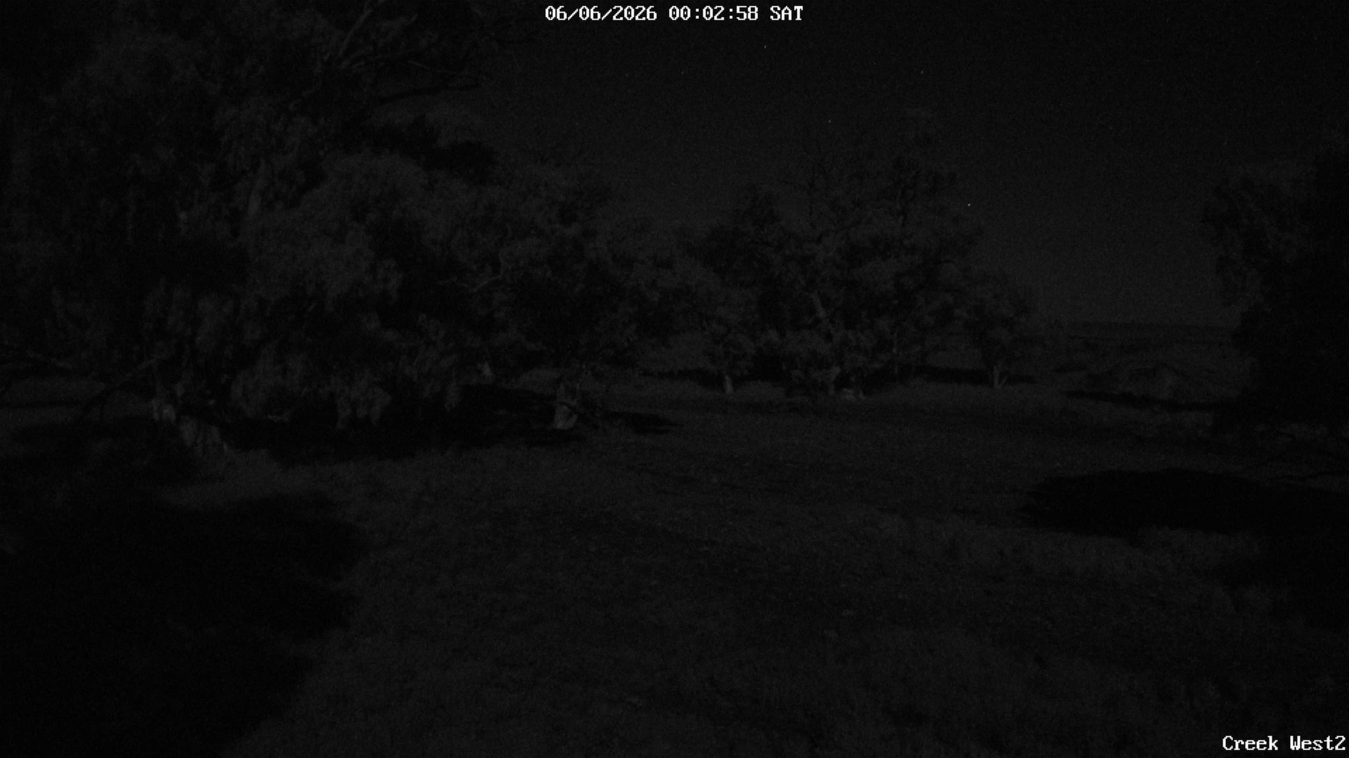 time-lapse frame, CreekCam West webcam