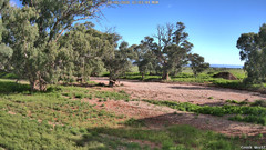 view from CreekCam West on 2026-06-08