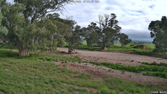 view from CreekCam West on 2026-06-14
