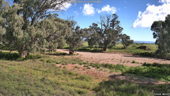 view from CreekCam West on 2026-08-19