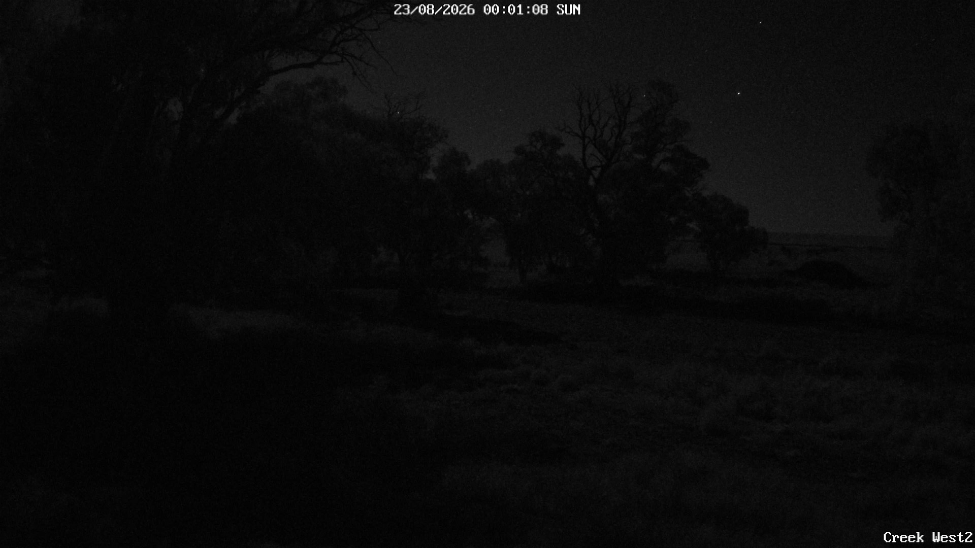 time-lapse frame, CreekCam West webcam