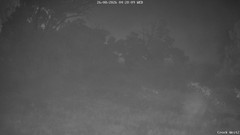 view from CreekCam West on 2026-08-26