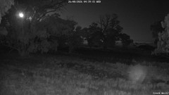 view from CreekCam West on 2026-08-26