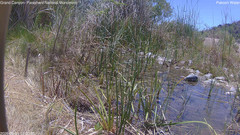 view from Pakoon Springs Stream Side on 2026-06-01