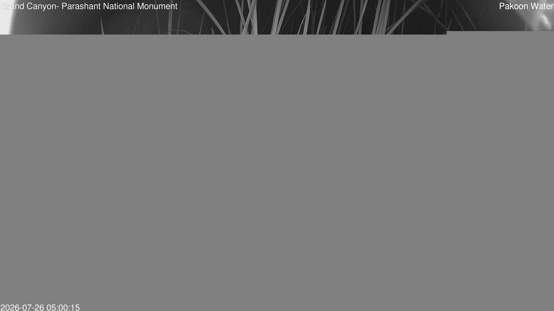 time-lapse frame, Pakoon Springs Stream Side webcam