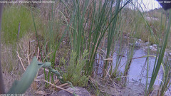view from Pakoon Springs Stream Side on 2026-07-26