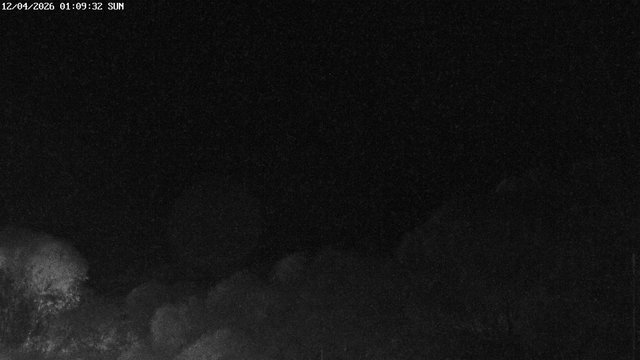 time-lapse frame, East webcam