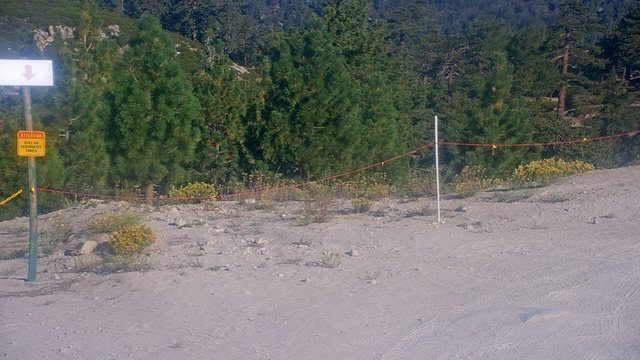 view from Snow Valley Peak Cam on 2026-08-24