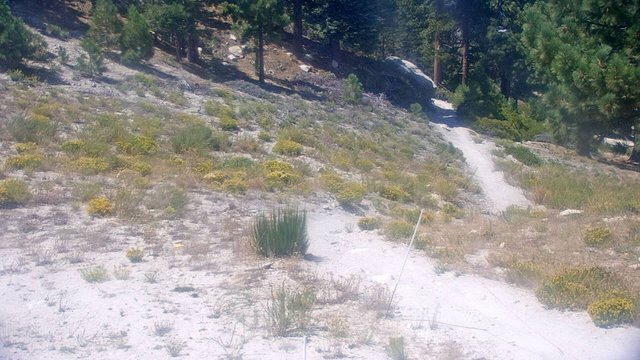 view from Snow Valley Peak Cam on 2026-08-25