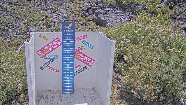 view from Solitude Snowstake Camera  on 2026-08-17