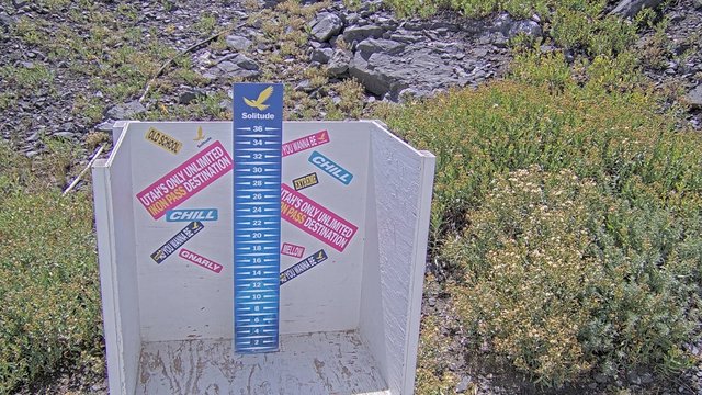 view from Solitude Snowstake Camera  on 2026-08-24