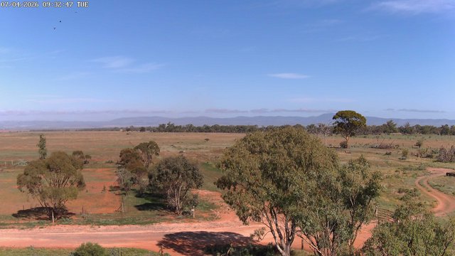 time-lapse frame, West webcam