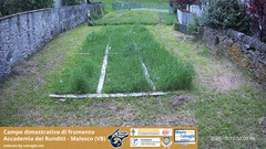 view from Grano on 2025-05-12
