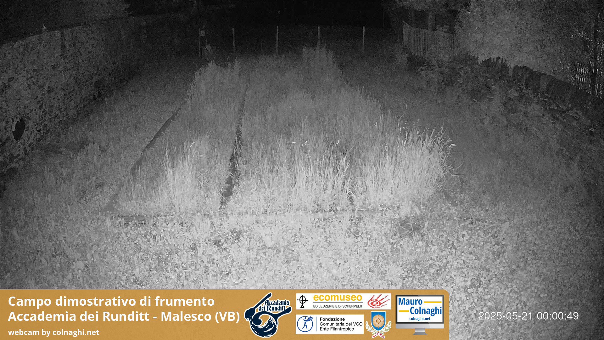 time-lapse frame, Grano webcam