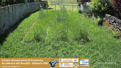 view from Grano on 2025-05-29