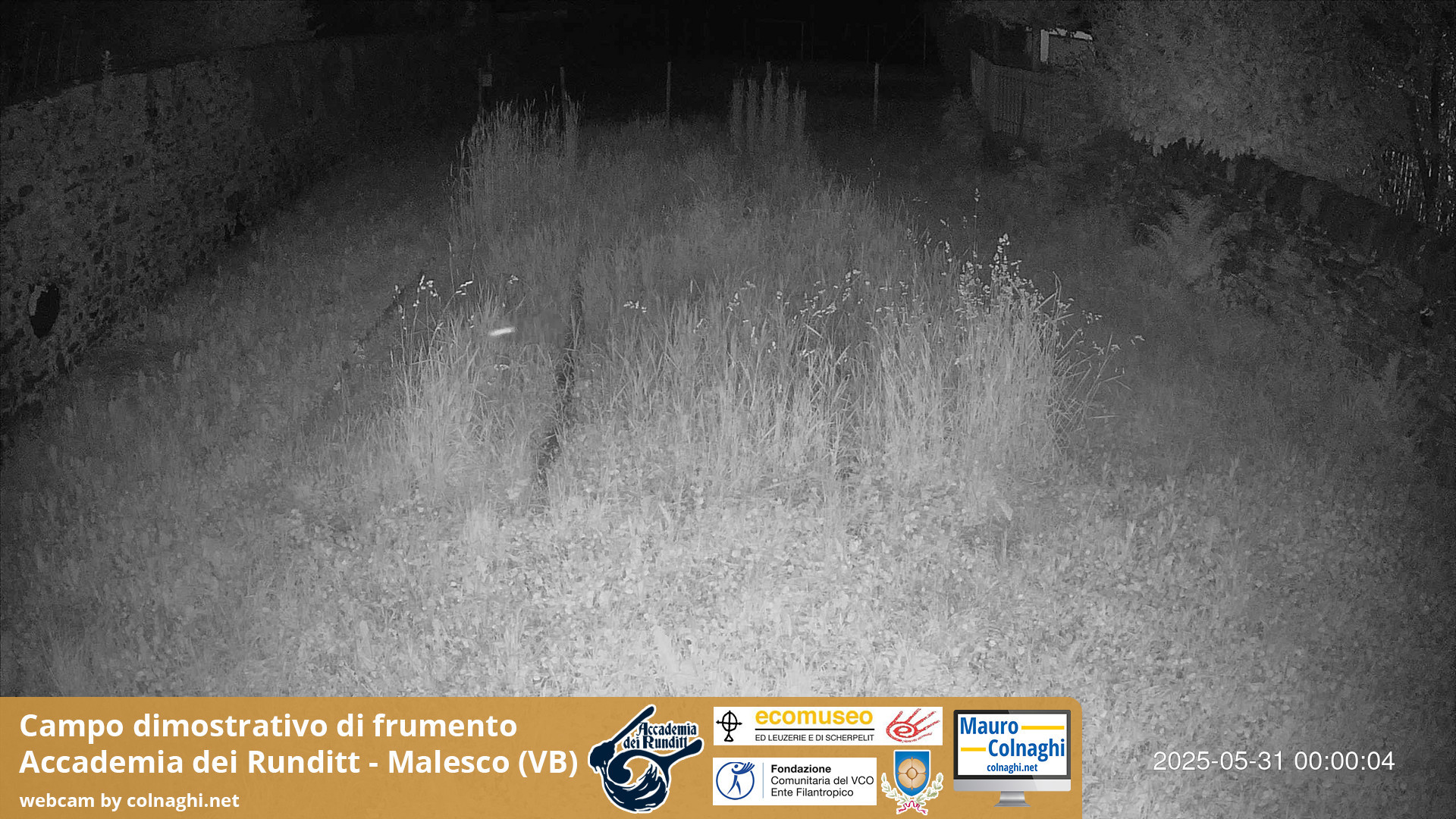 time-lapse frame, Grano webcam