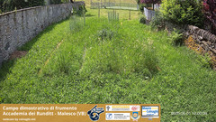view from Grano on 2025-06-01