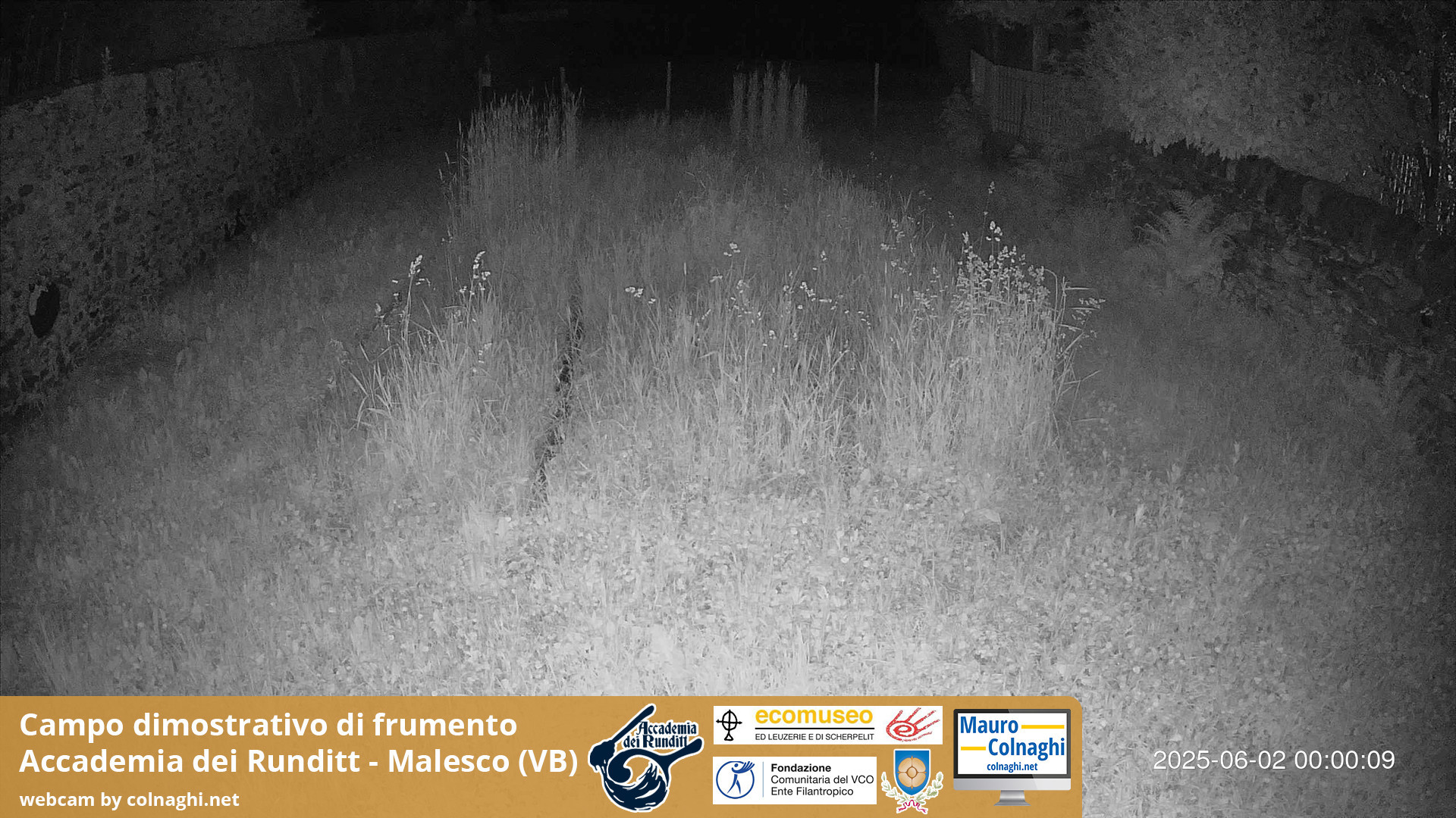 time-lapse frame, Grano webcam