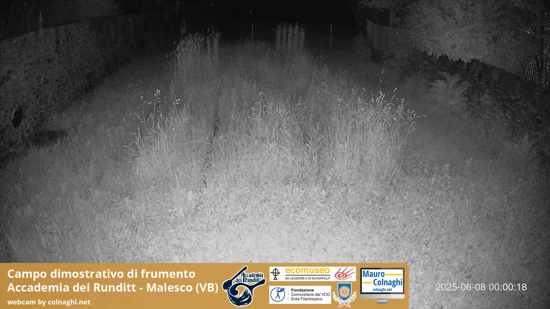 time-lapse frame, Grano webcam