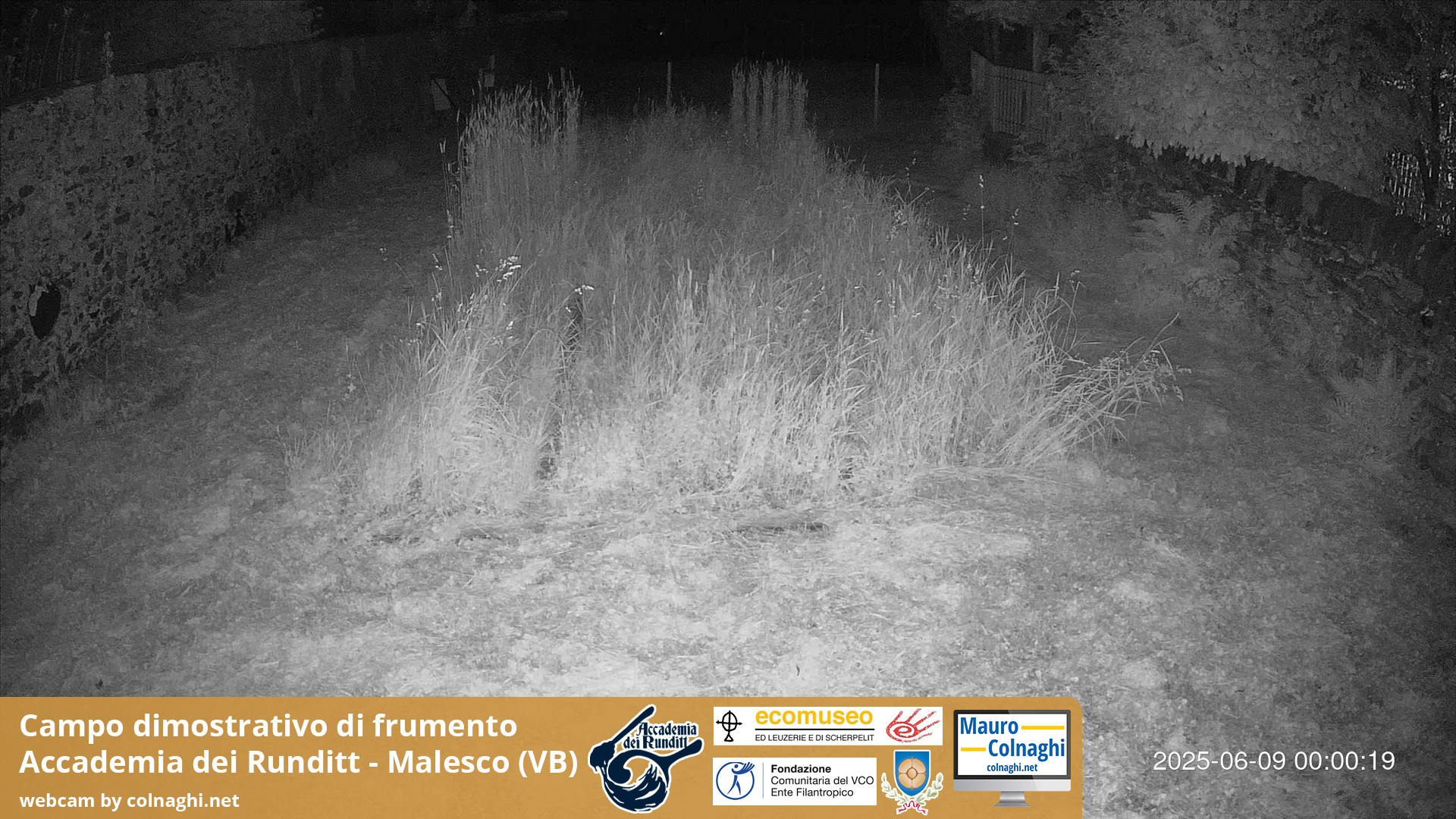 time-lapse frame, Grano webcam