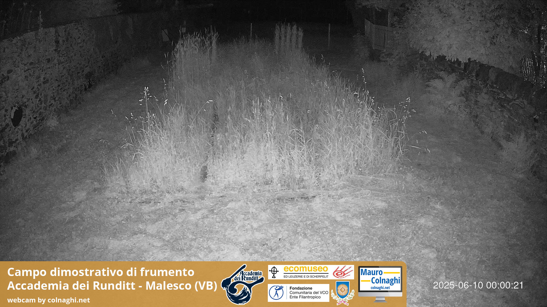 time-lapse frame, Grano webcam