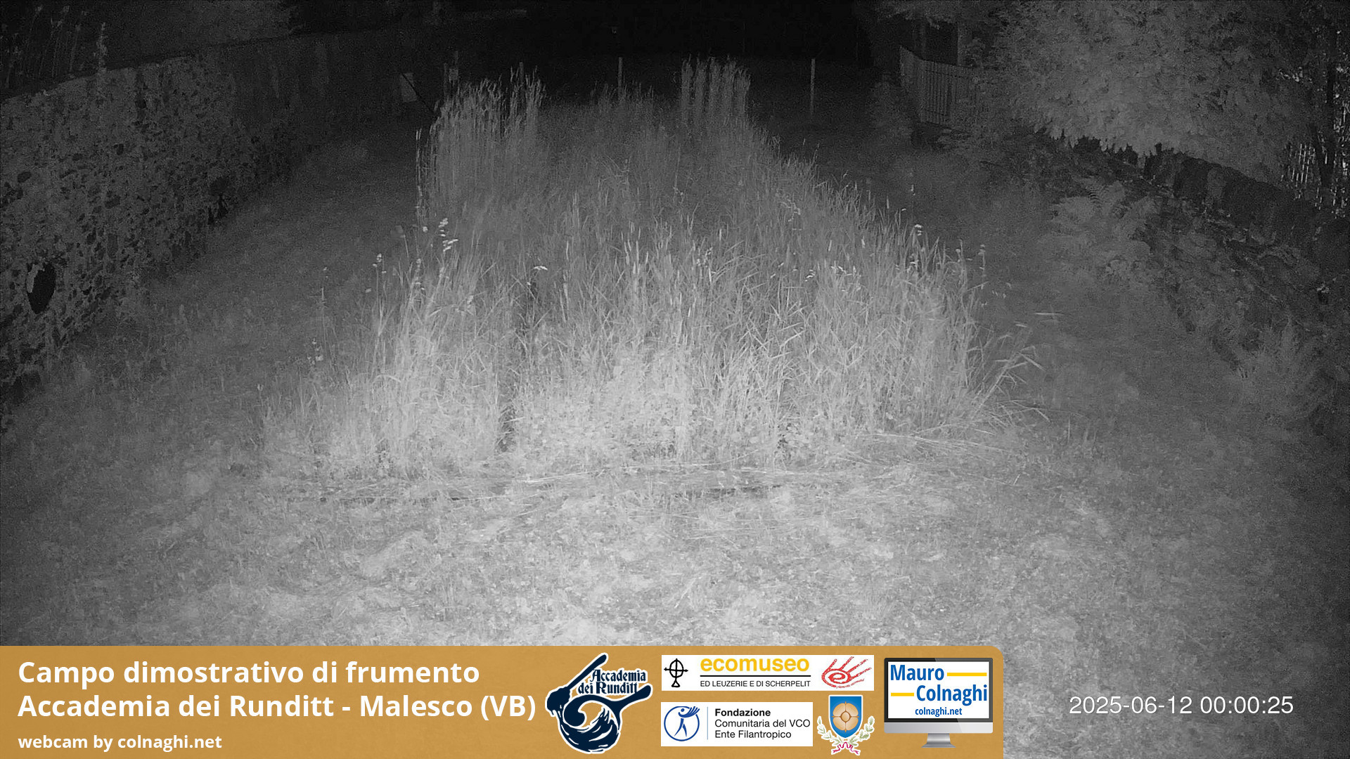 time-lapse frame, Grano webcam