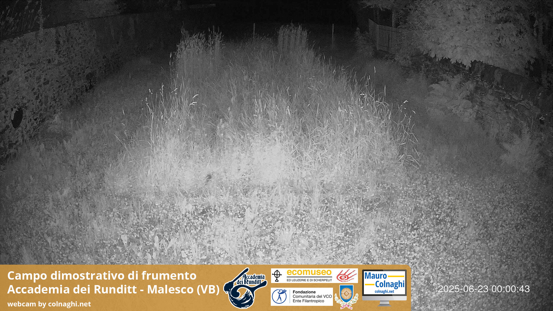 time-lapse frame, Grano webcam