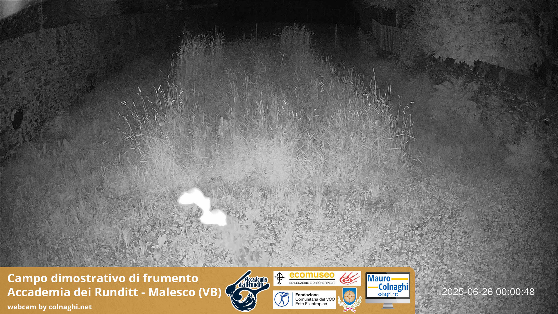 time-lapse frame, Grano webcam