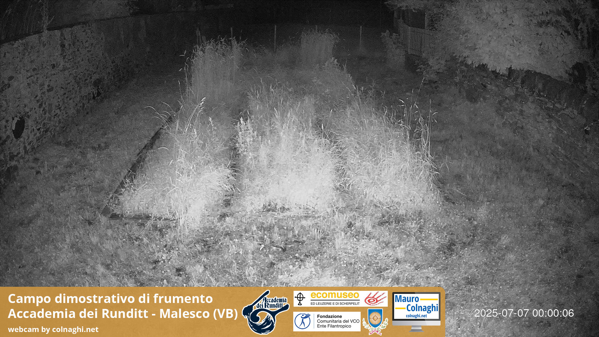 time-lapse frame, Grano webcam