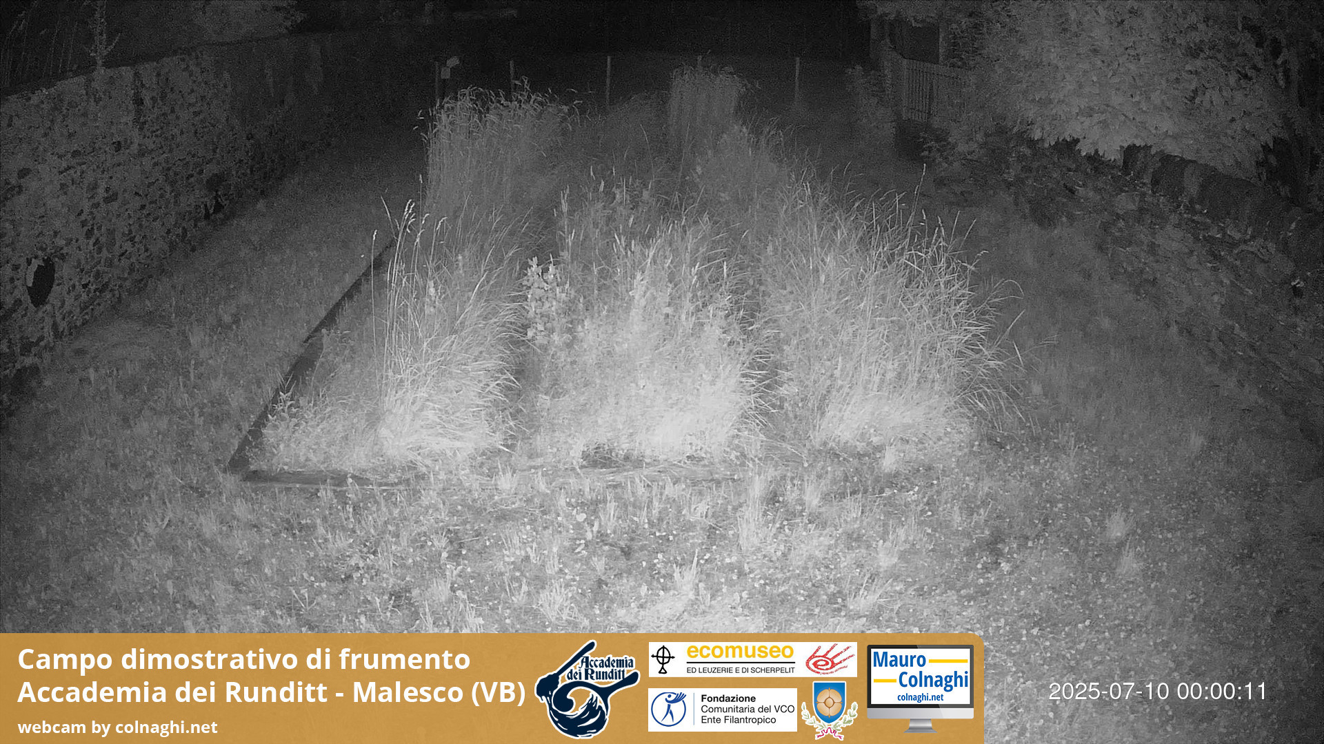 time-lapse frame, Grano webcam