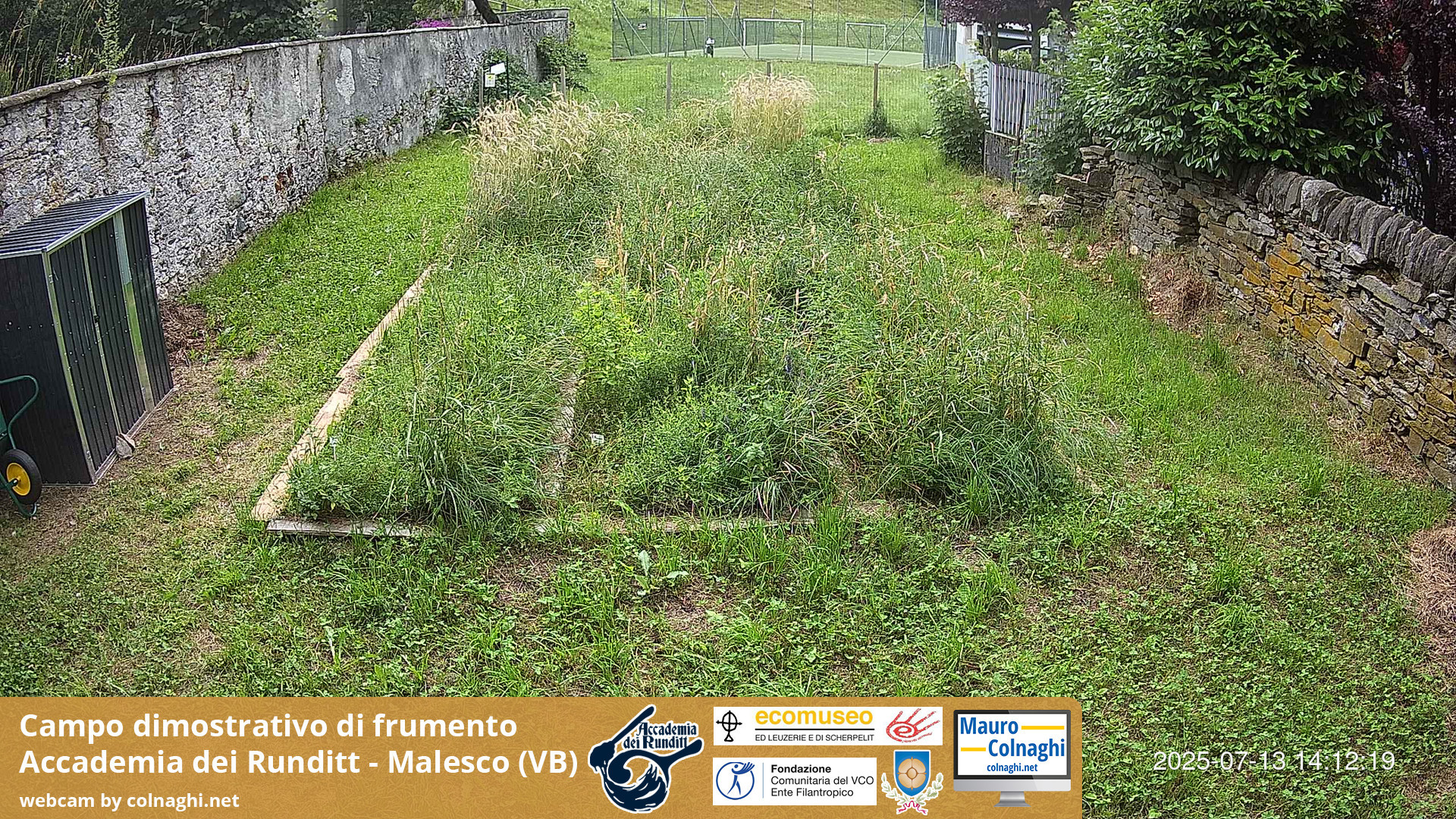 time-lapse frame, Grano webcam