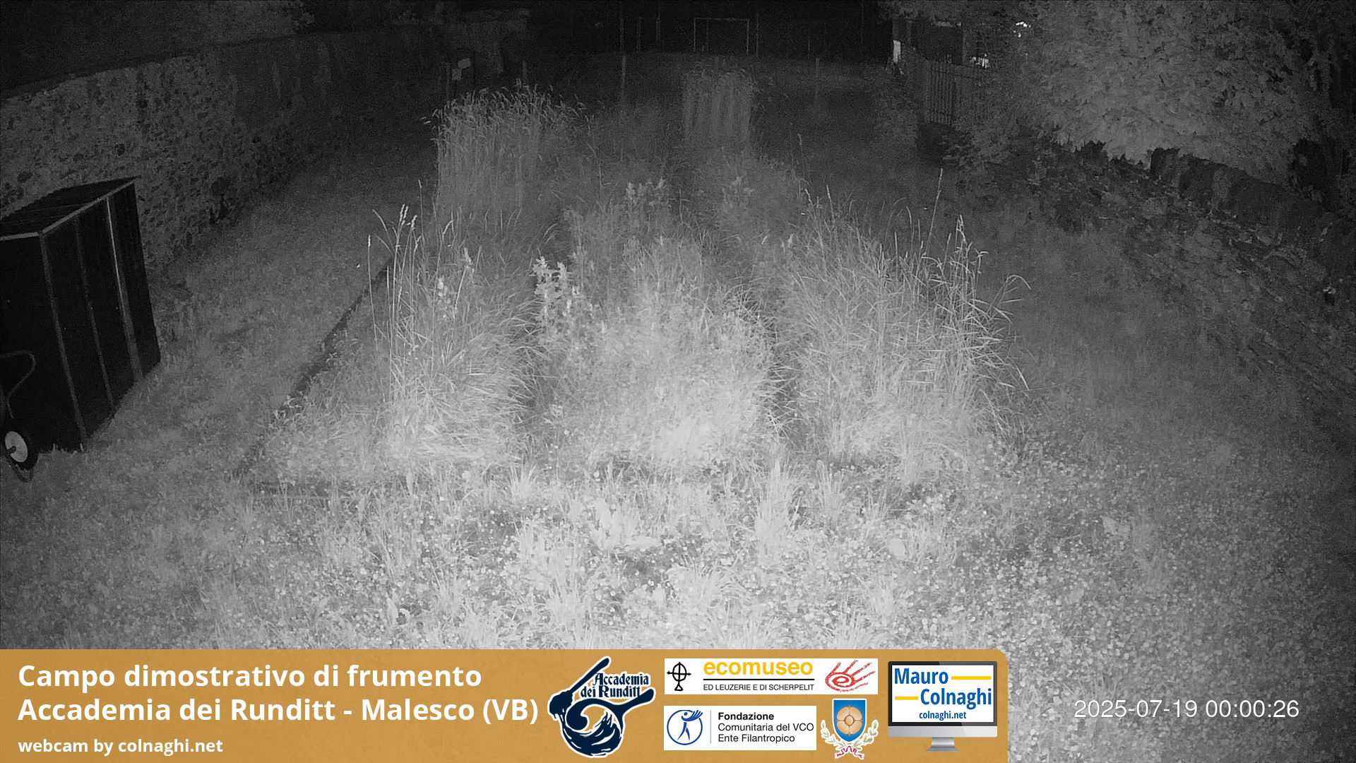 time-lapse frame, Grano webcam