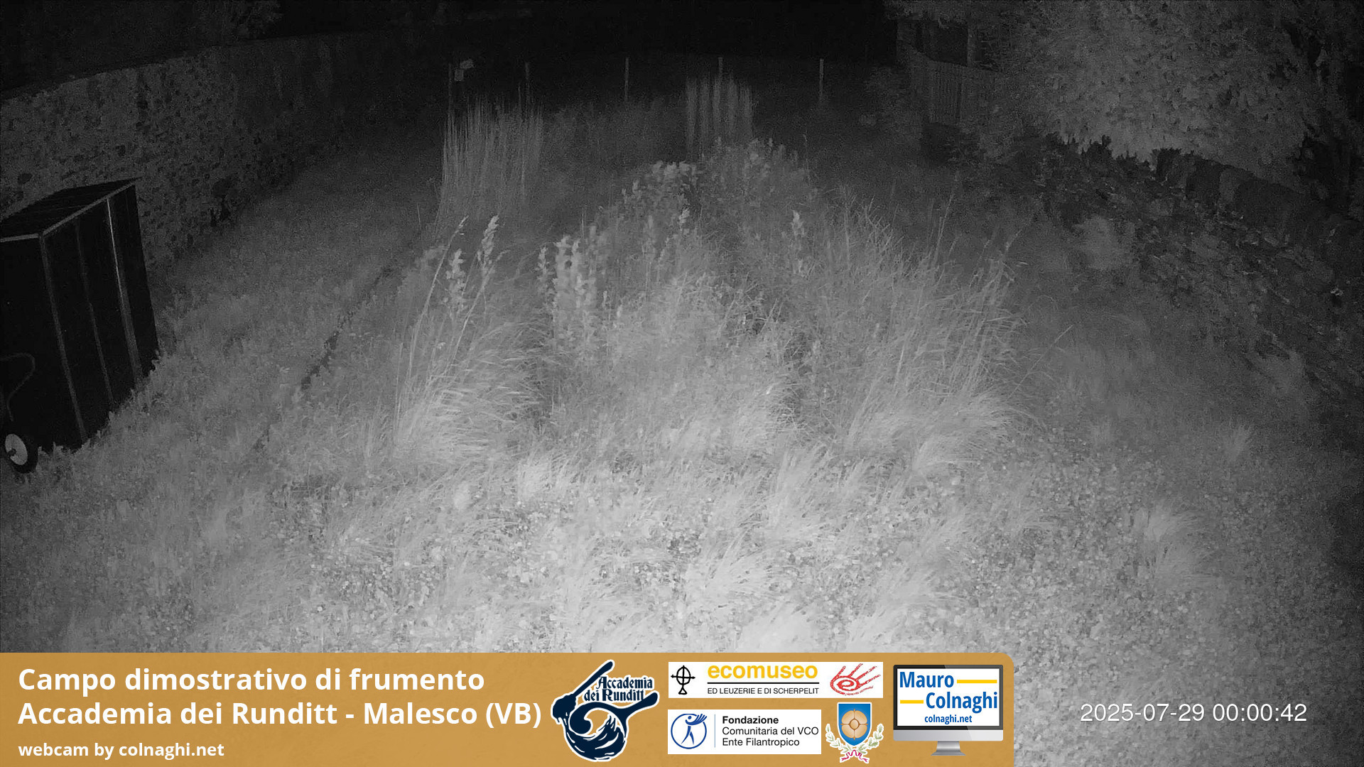 time-lapse frame, Grano webcam