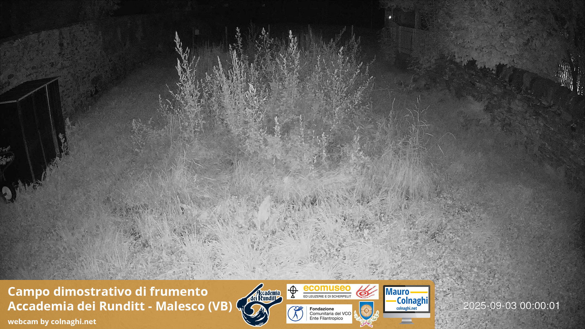 time-lapse frame, Grano webcam