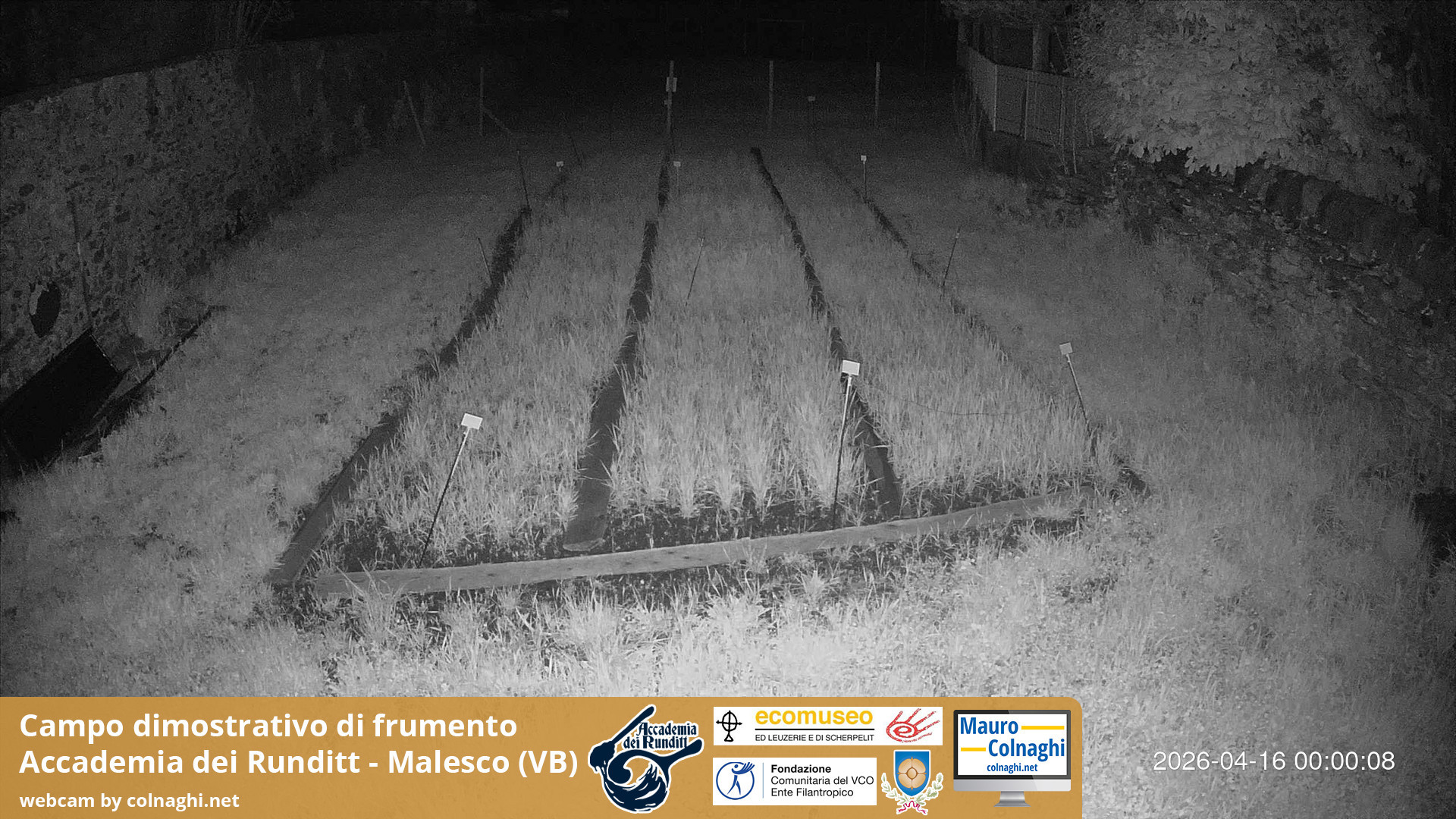time-lapse frame, Grano webcam