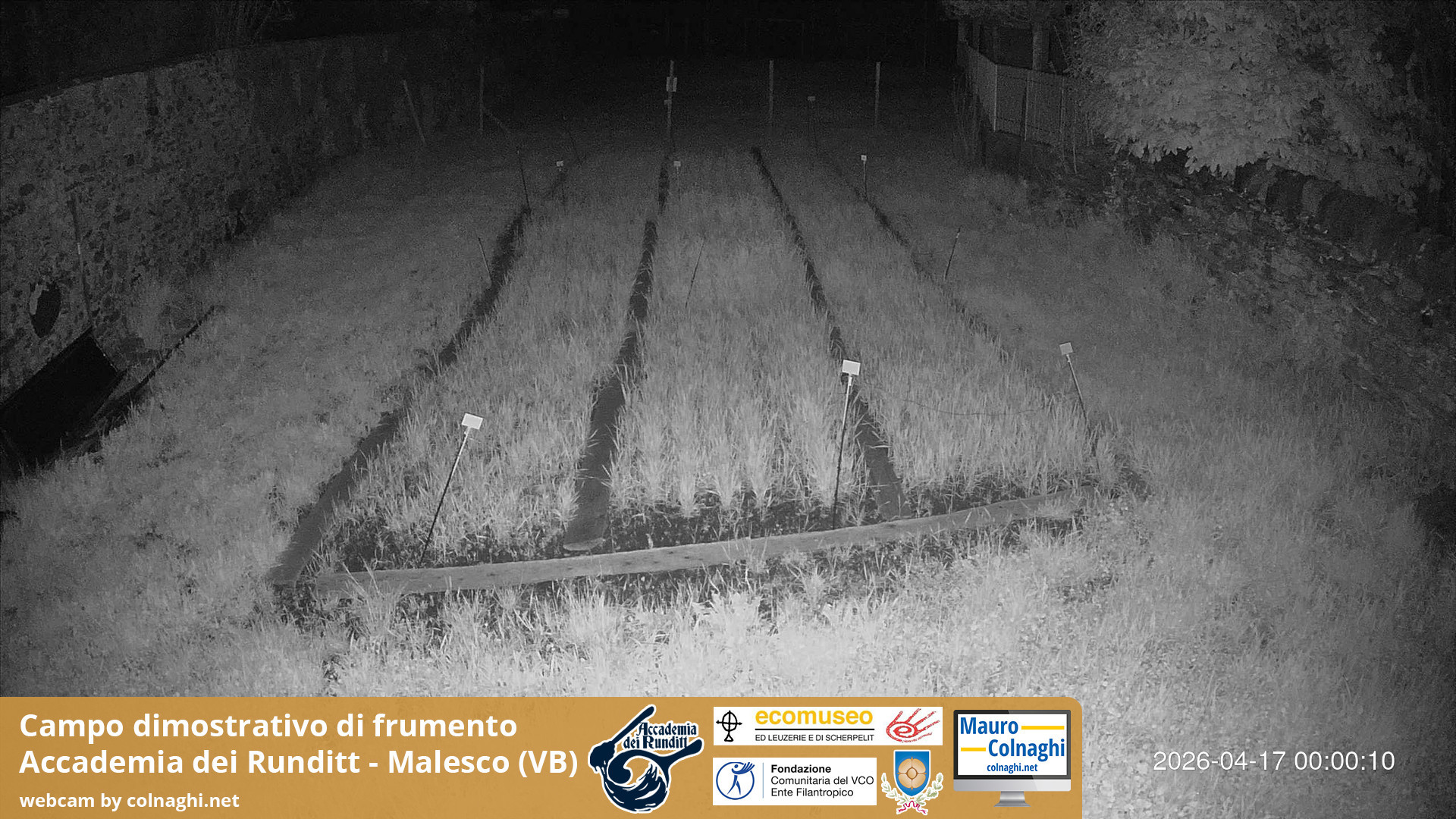 time-lapse frame, Grano webcam