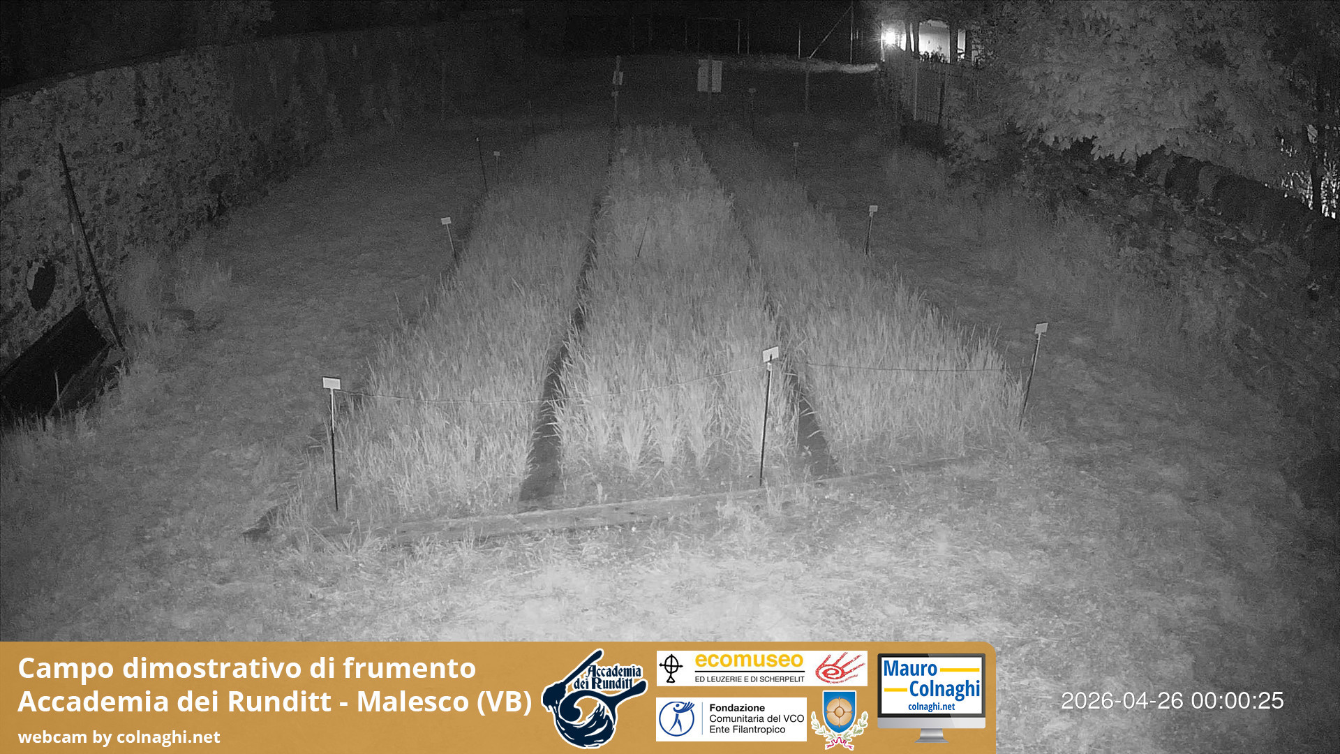 time-lapse frame, Grano webcam