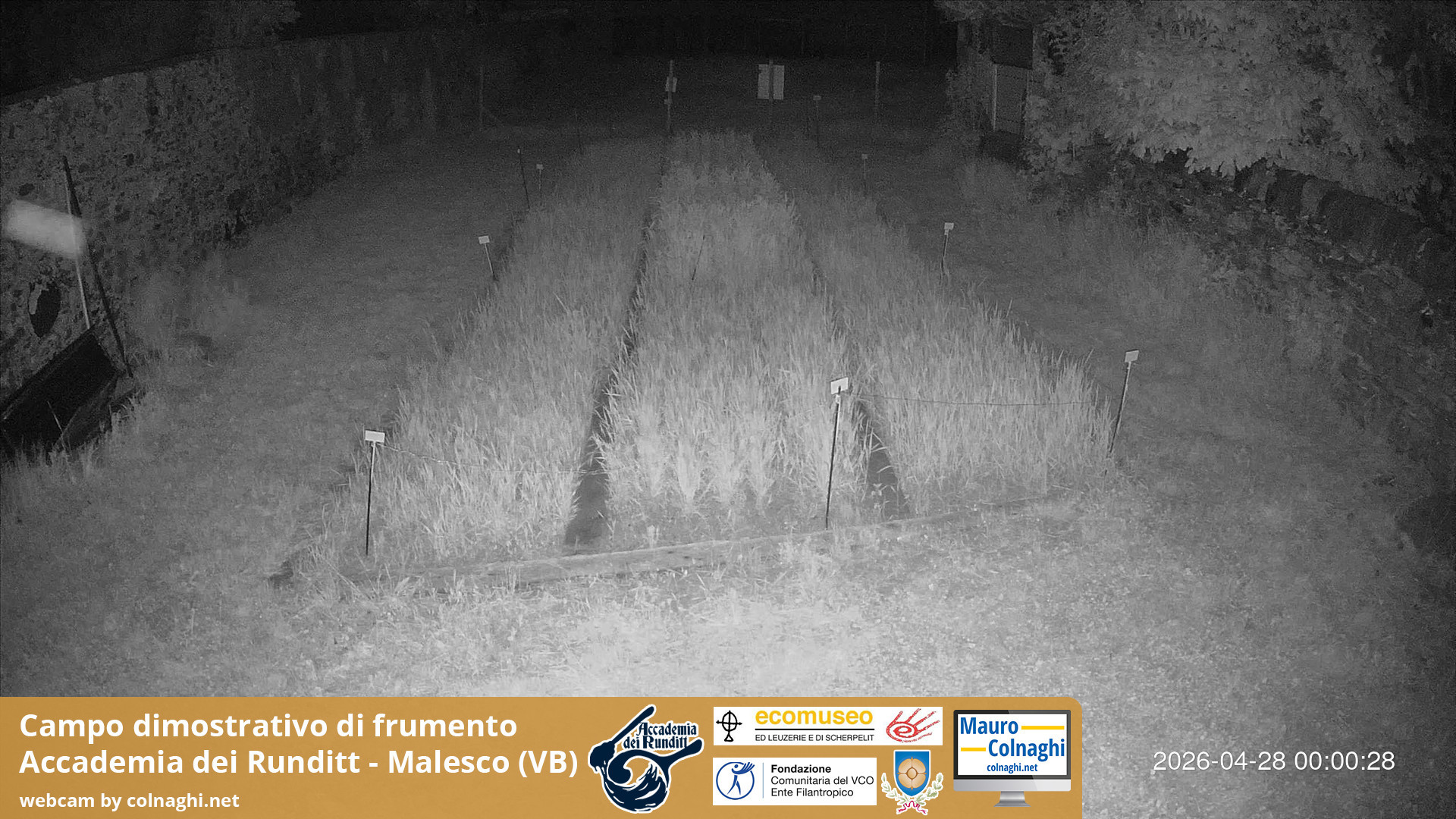 time-lapse frame, Grano webcam