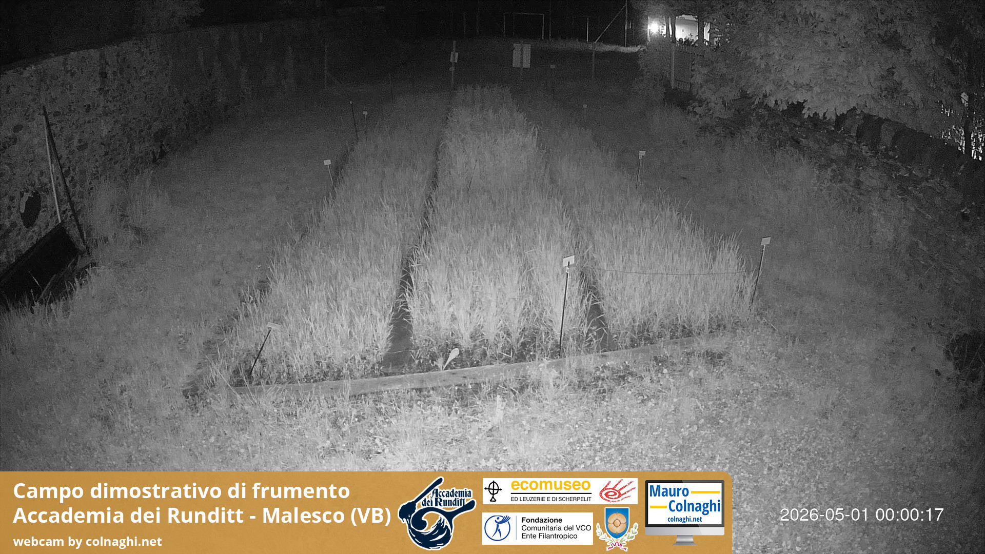 time-lapse frame, Grano webcam