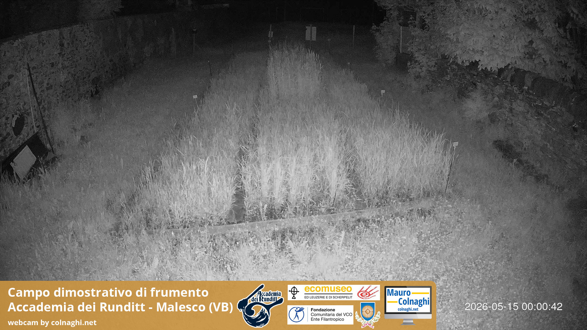 time-lapse frame, Grano webcam