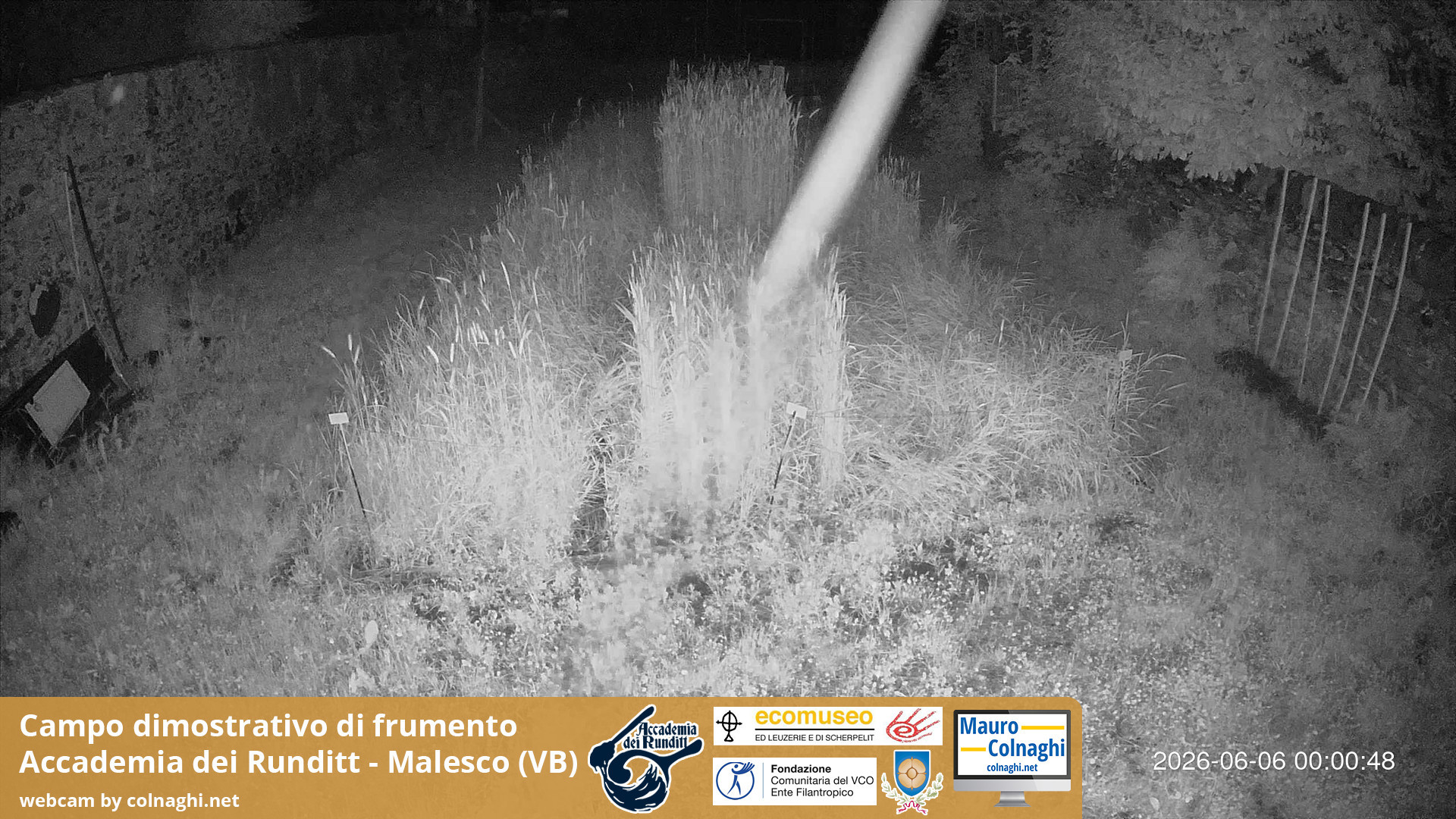 time-lapse frame, Grano webcam