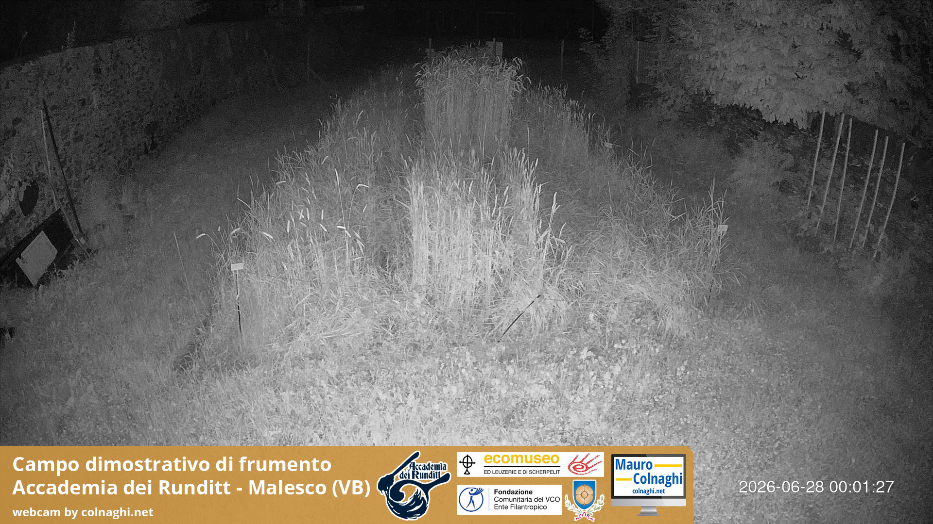 time-lapse frame, Grano webcam