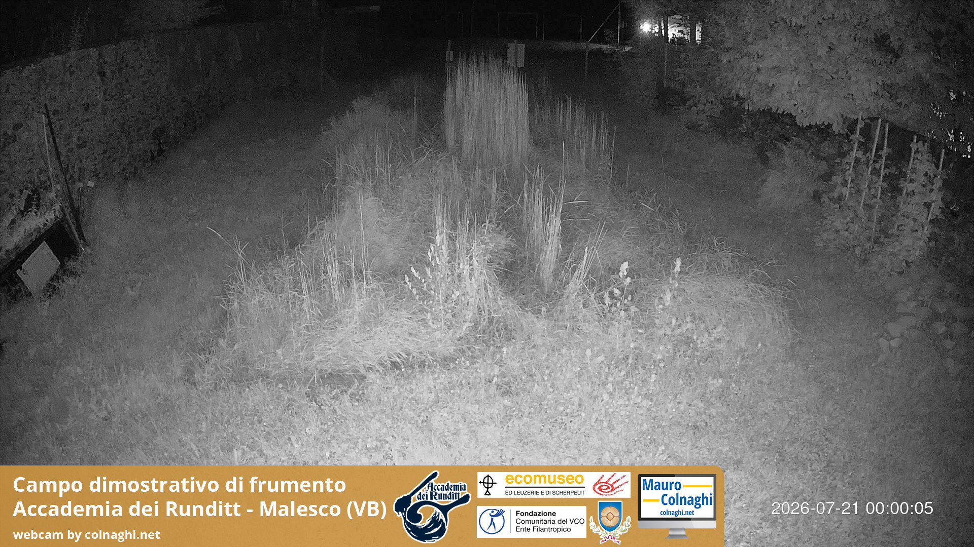time-lapse frame, Grano webcam