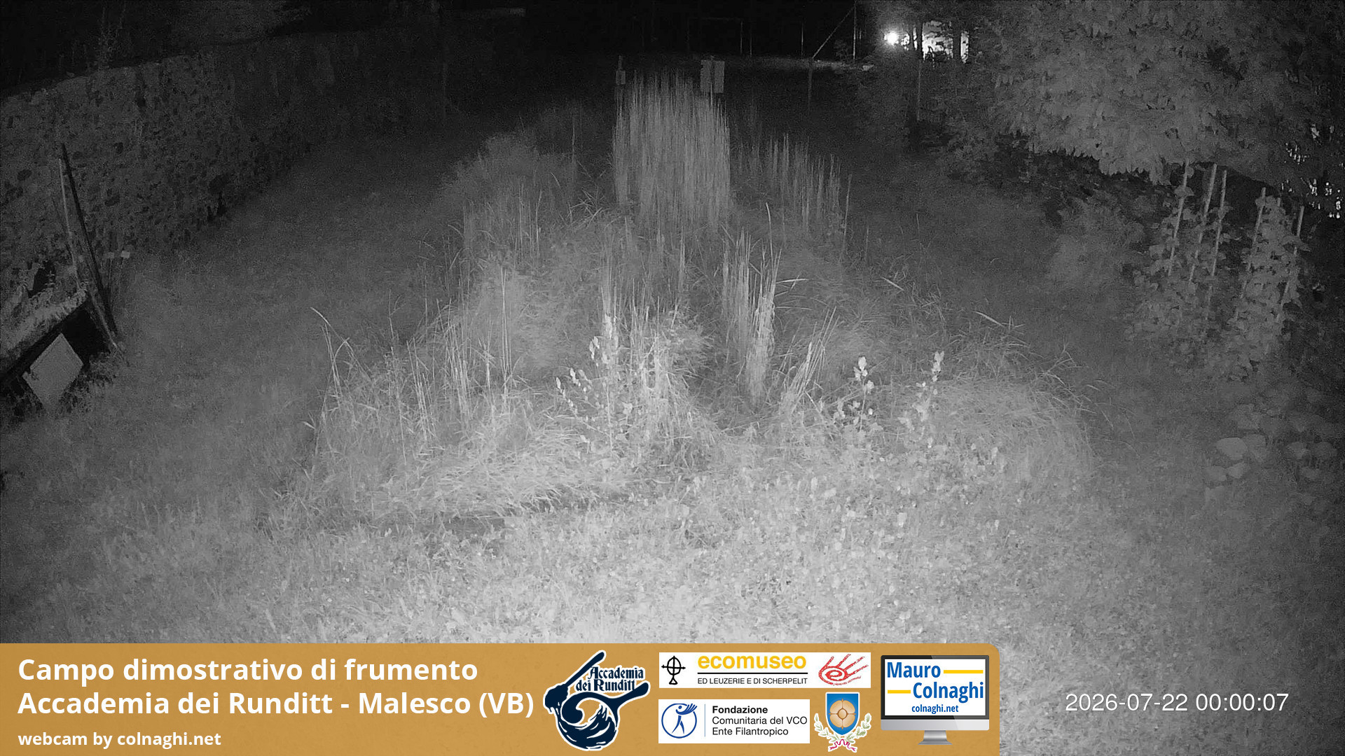 time-lapse frame, Grano webcam